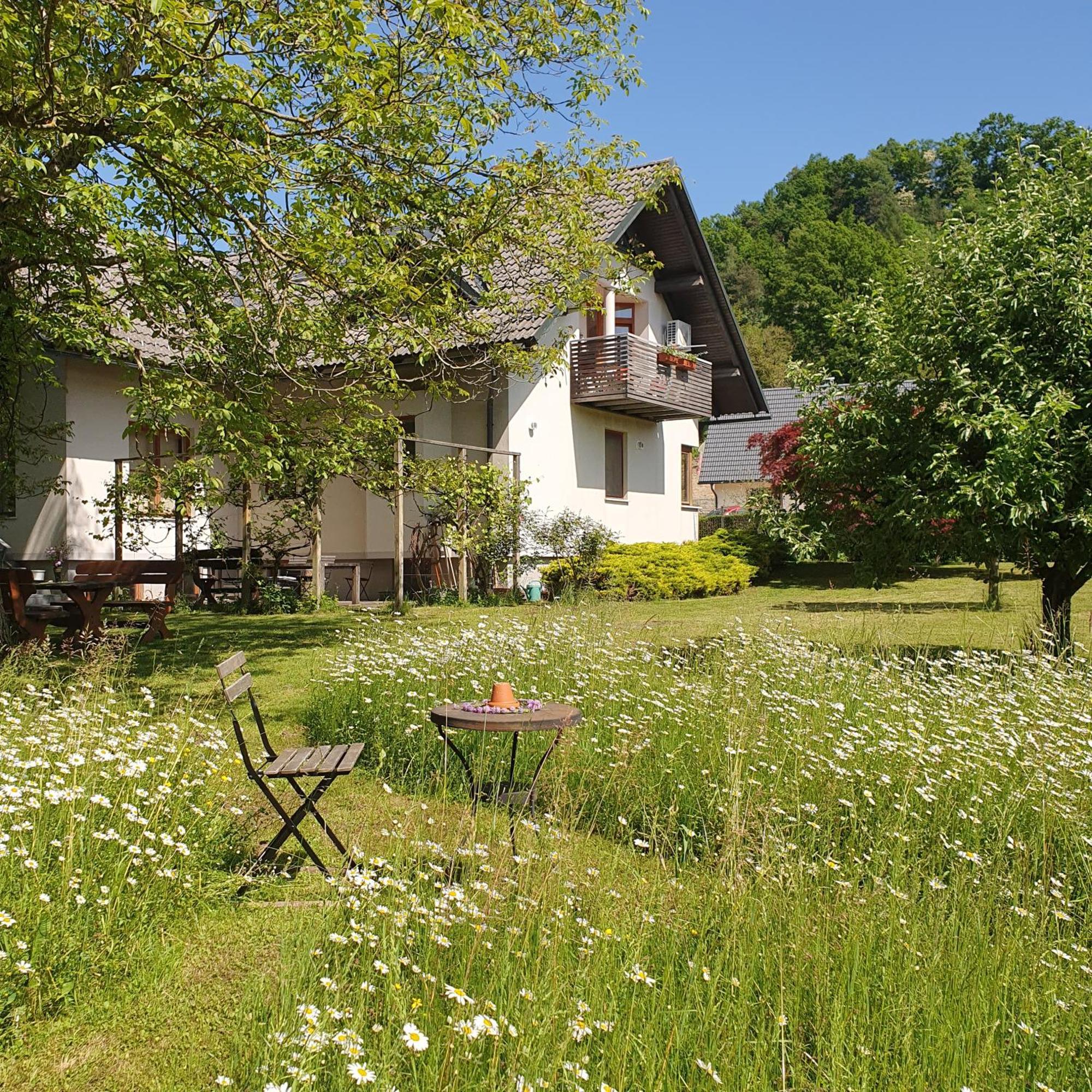 River House Radolca Radovljica Esterno foto