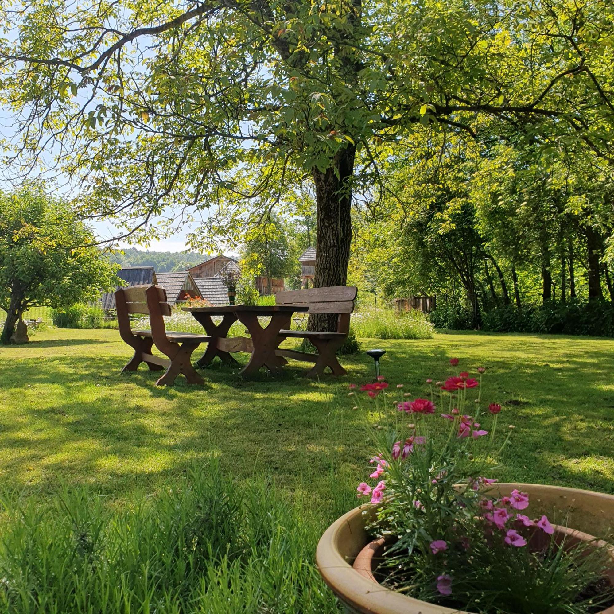 River House Radolca Radovljica Esterno foto